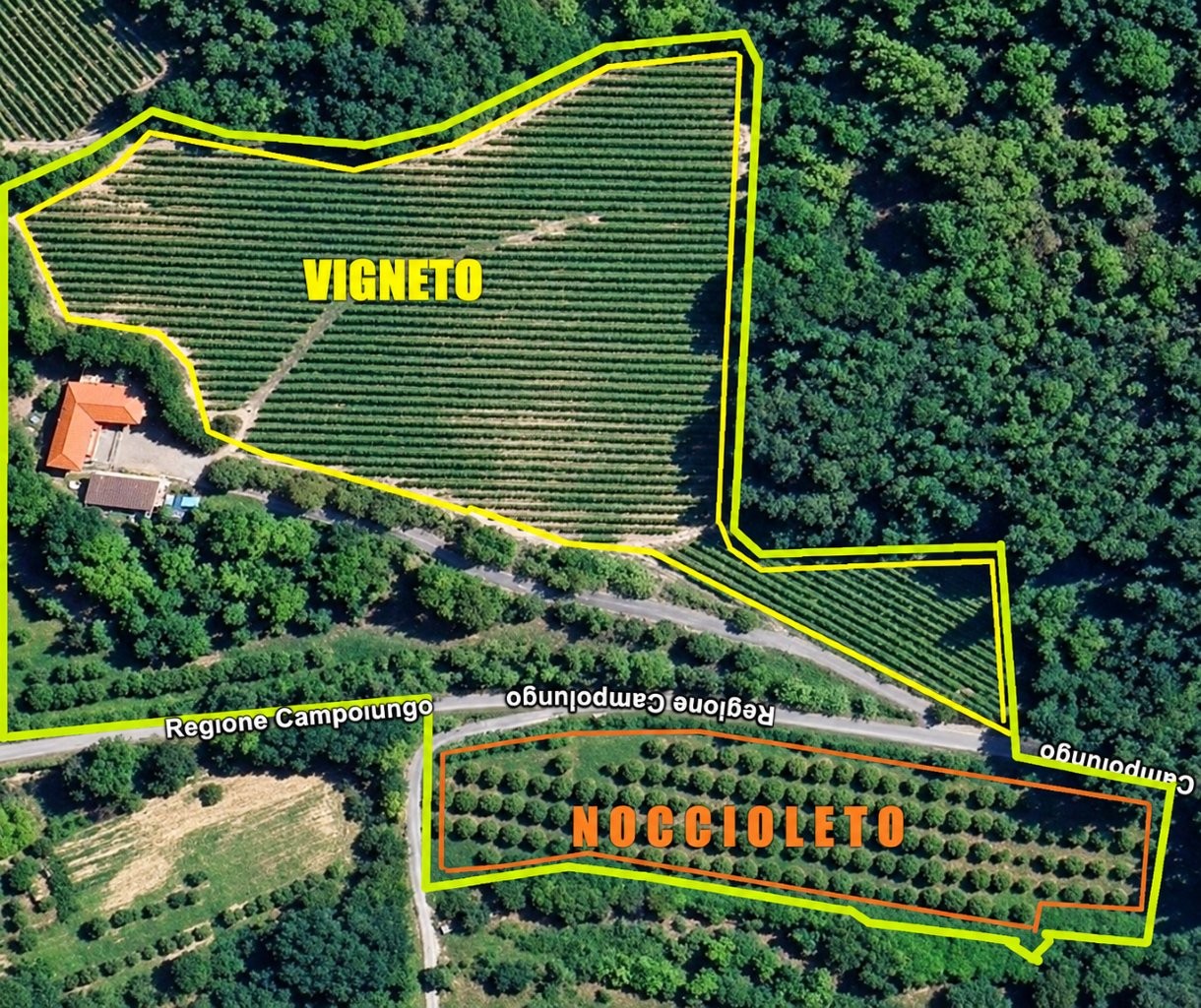 Immobiliari nel monferrato - Piedmont Houses